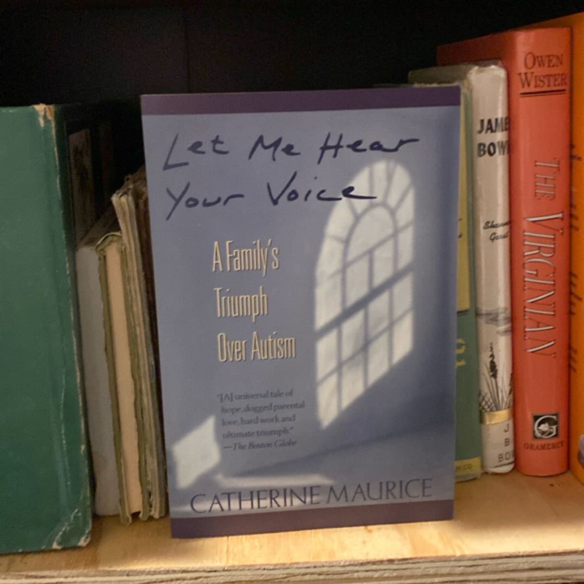 Let Me Hear Your Voice by Catherine Maurice