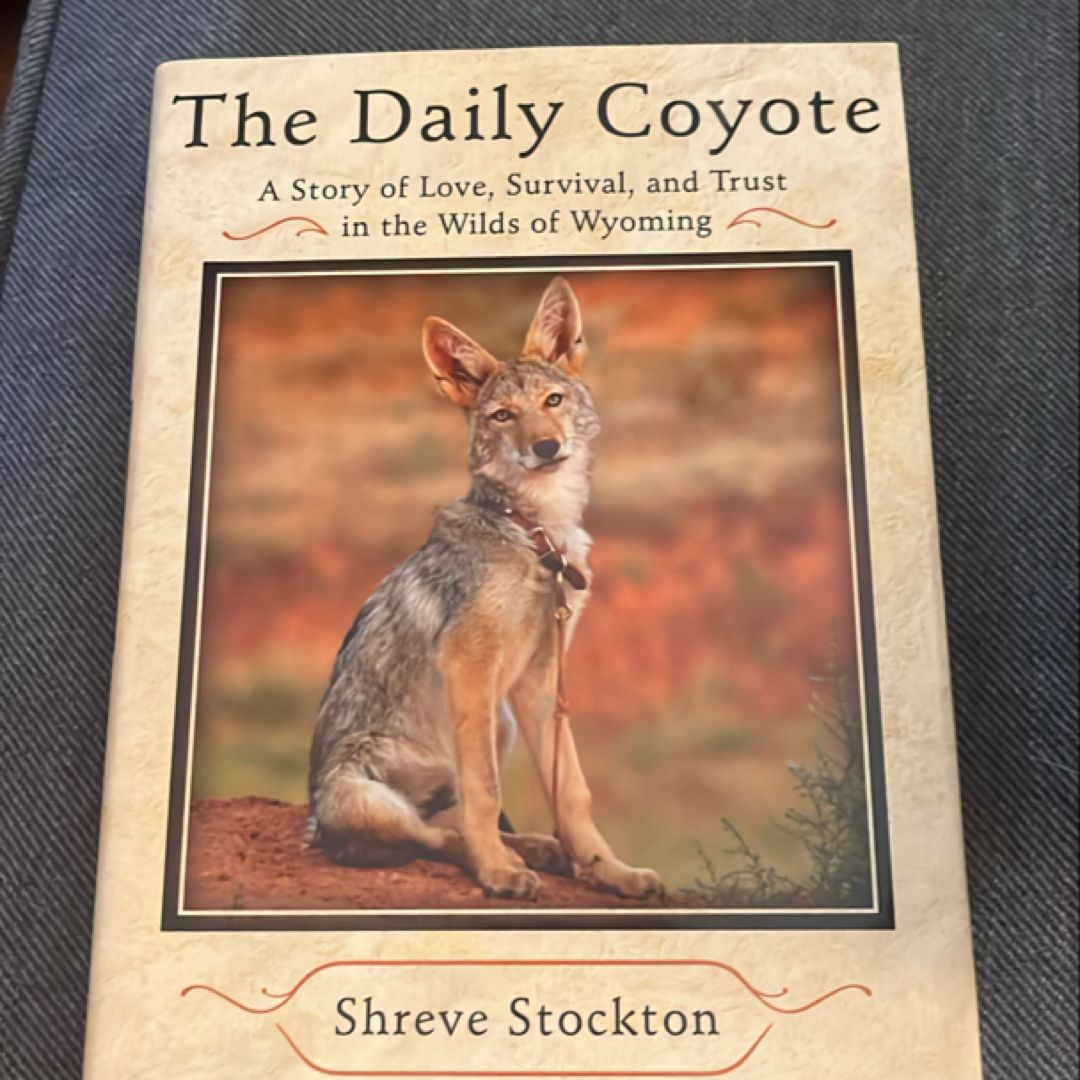 The Daily Coyote