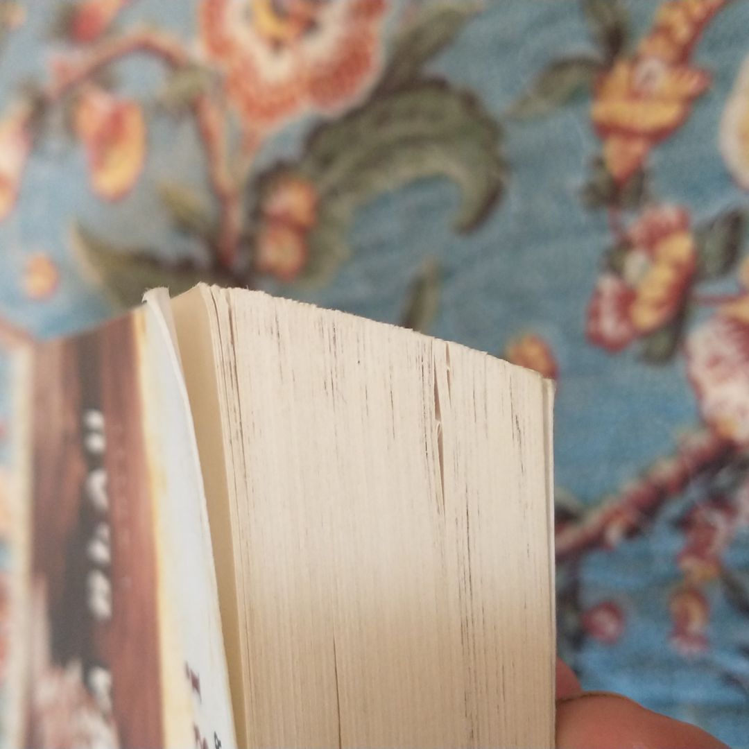 The Vision of Emma Blau