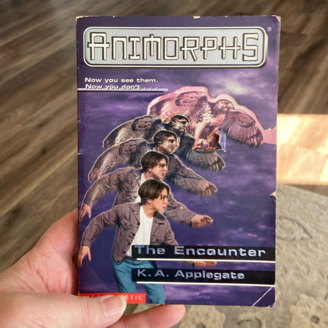 The Encounter