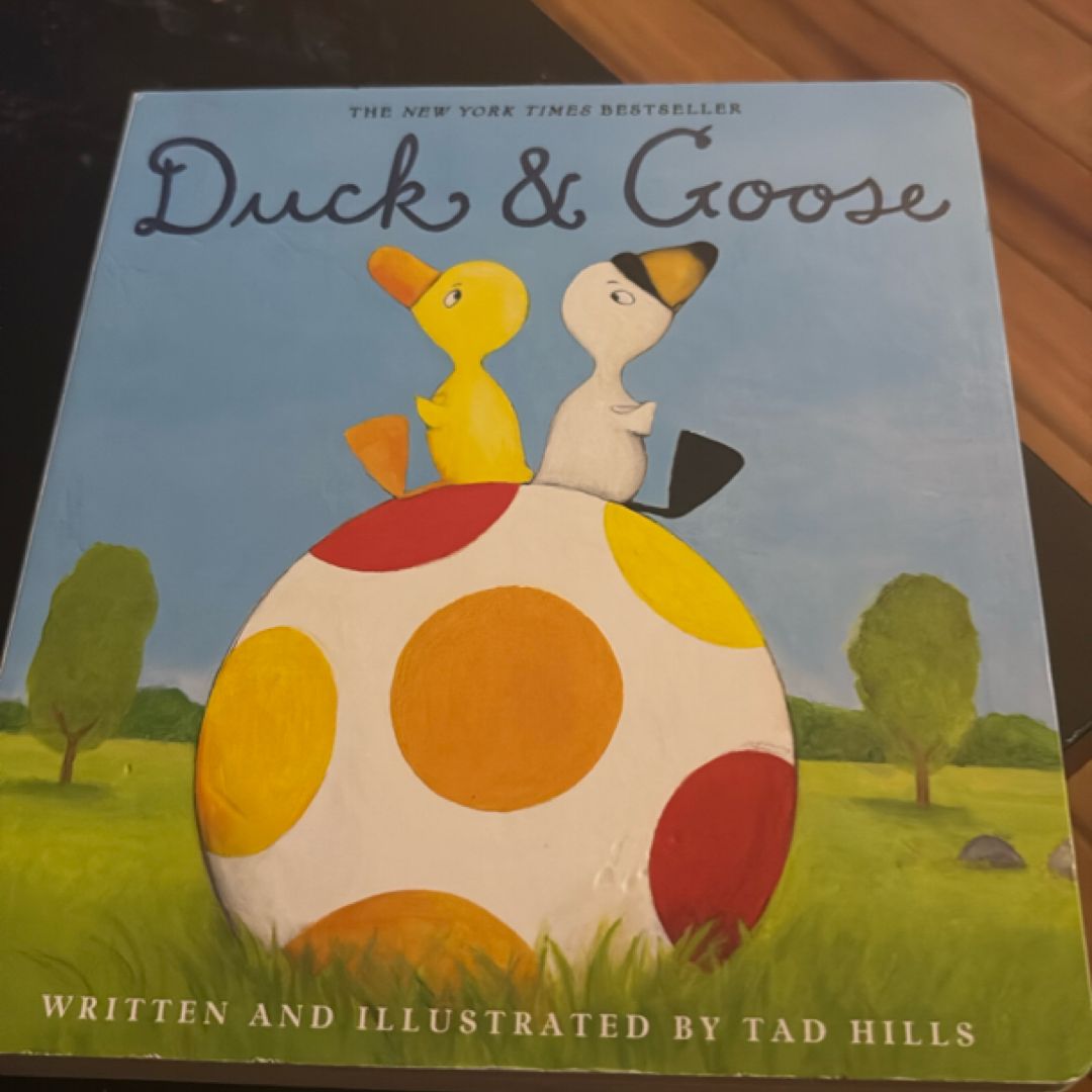 Duck and Goose