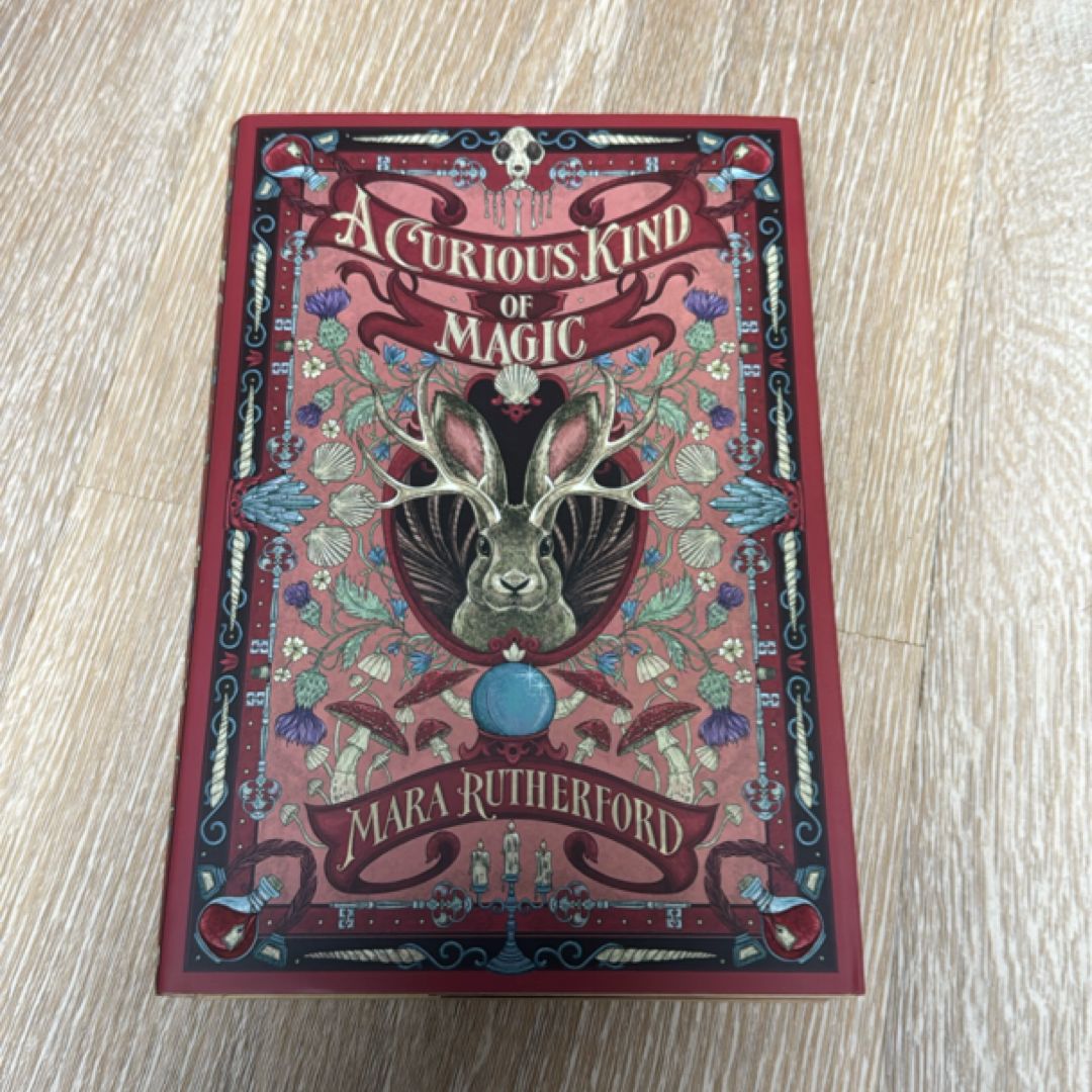 Voidwalker (illumicrate exclusive special edition) by S.a. Maclean