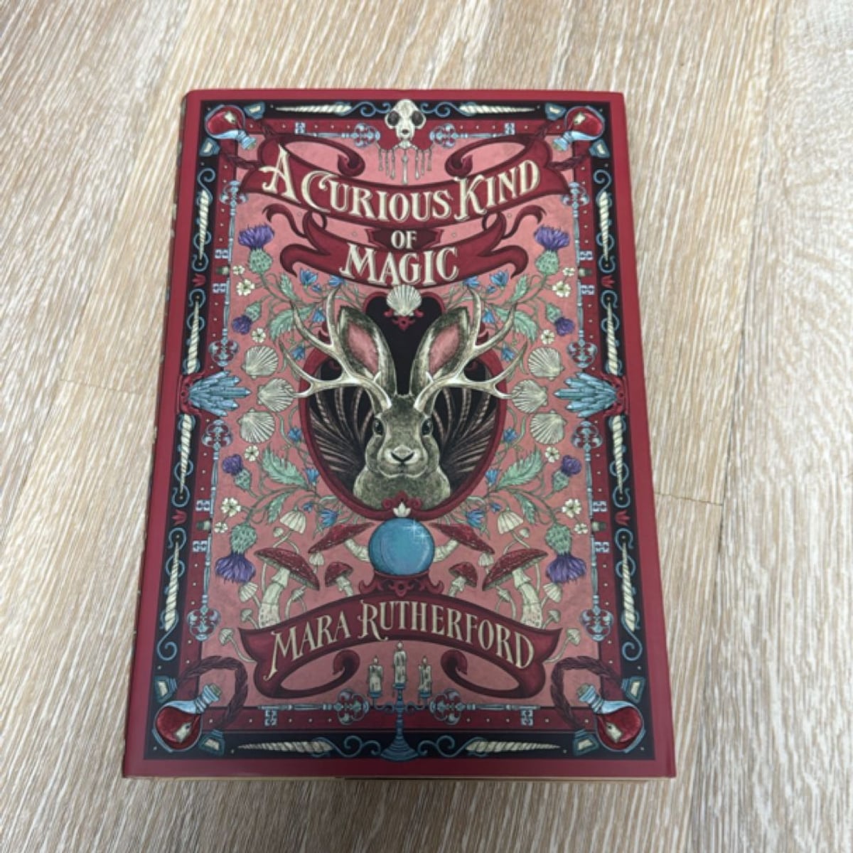 A Curious Kind of Magic (owlcrate exclusive special edition) by Mara ...