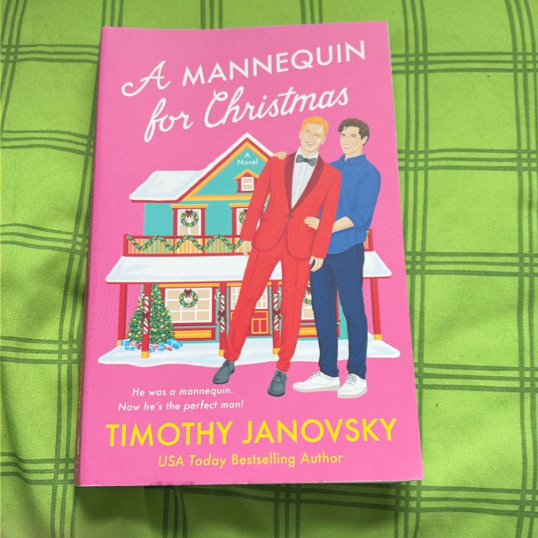 A Mannequin for Christmas