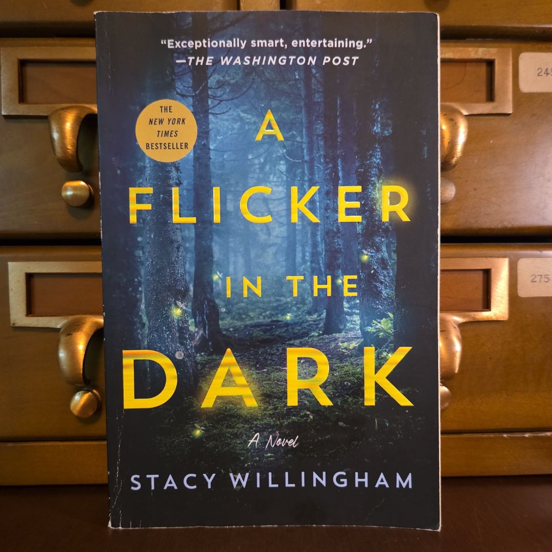 A Flicker in the Dark