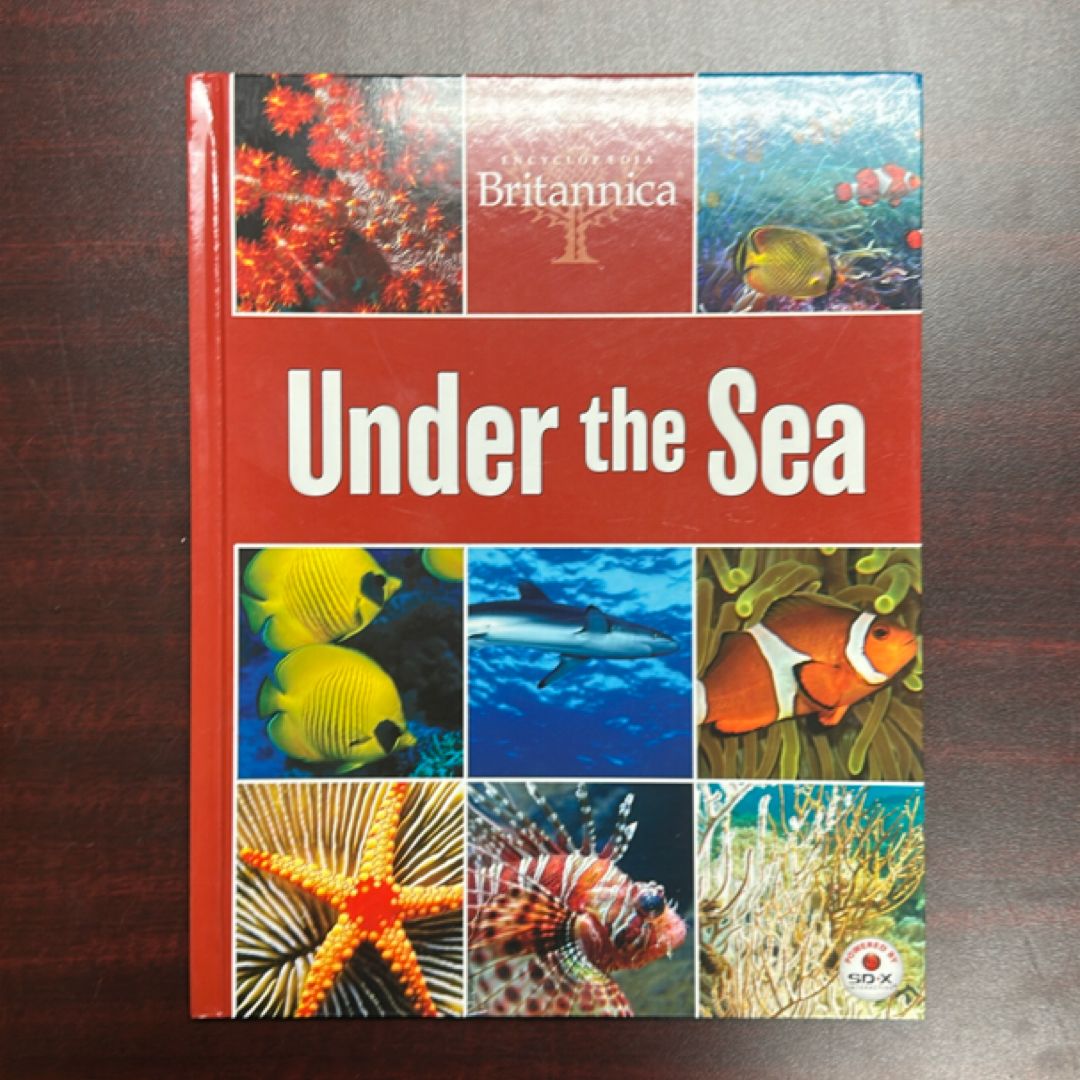 Under the sea