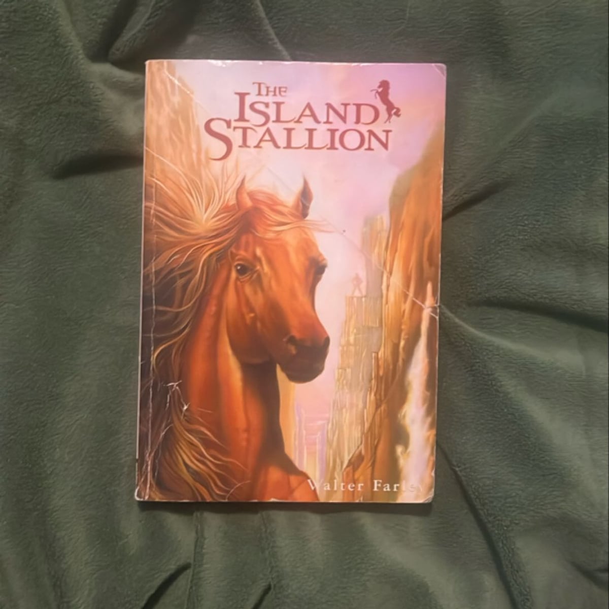 The Island Stallion by Walter Farley