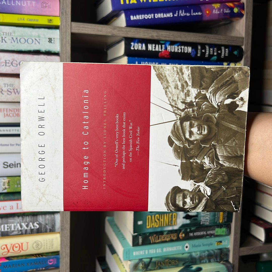 Sale image for 24db303c-db3d-408a-934b-2dd8165de506-pH2cdkfKT5ZLa6SlXB1dKubsVl43