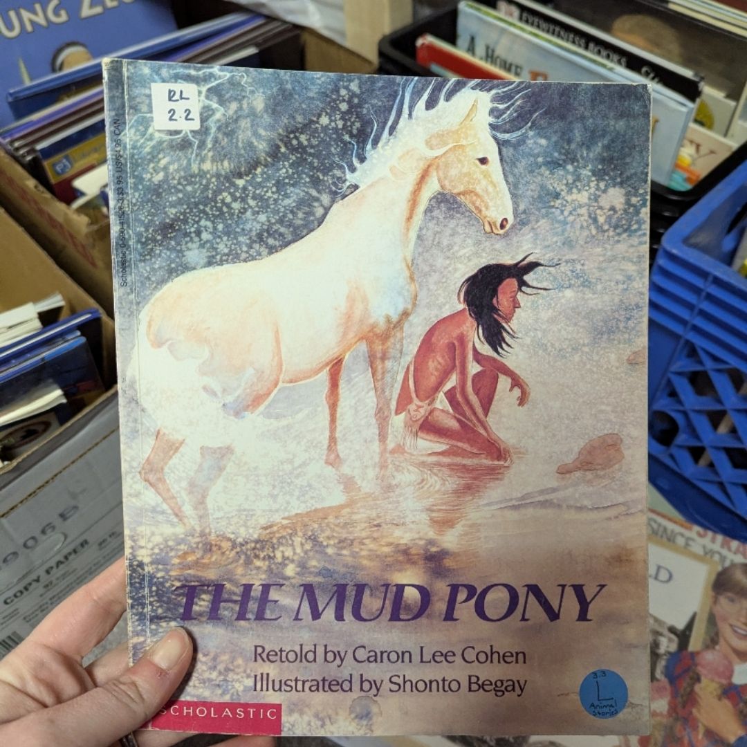 The Mud Pony