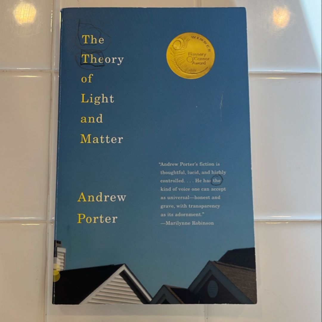 The Theory of Light and Matter