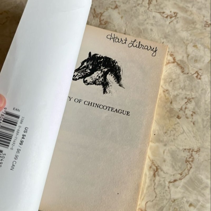 Misty of Chincoteague