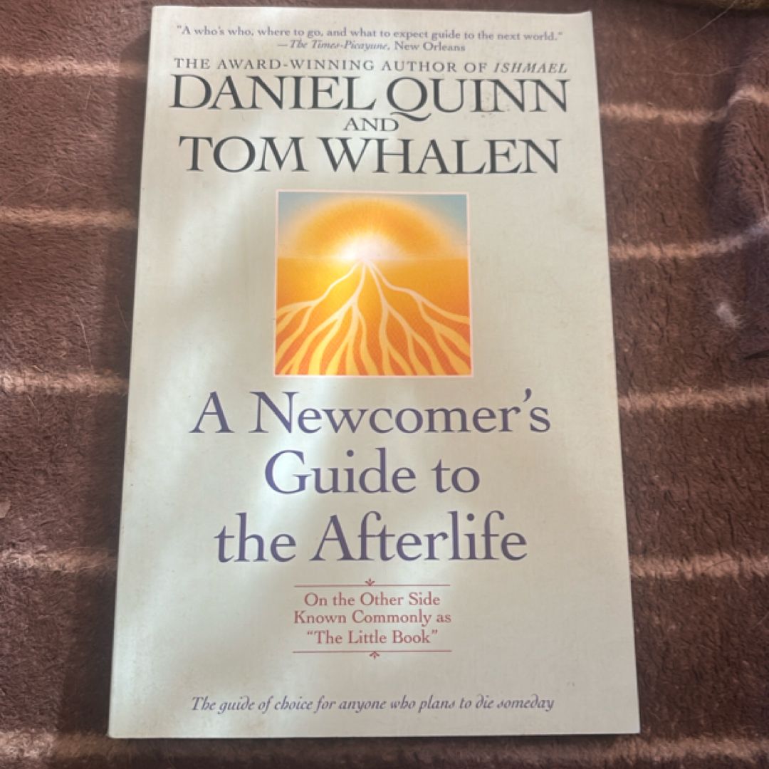 A Newcomer's Guide to the Afterlife