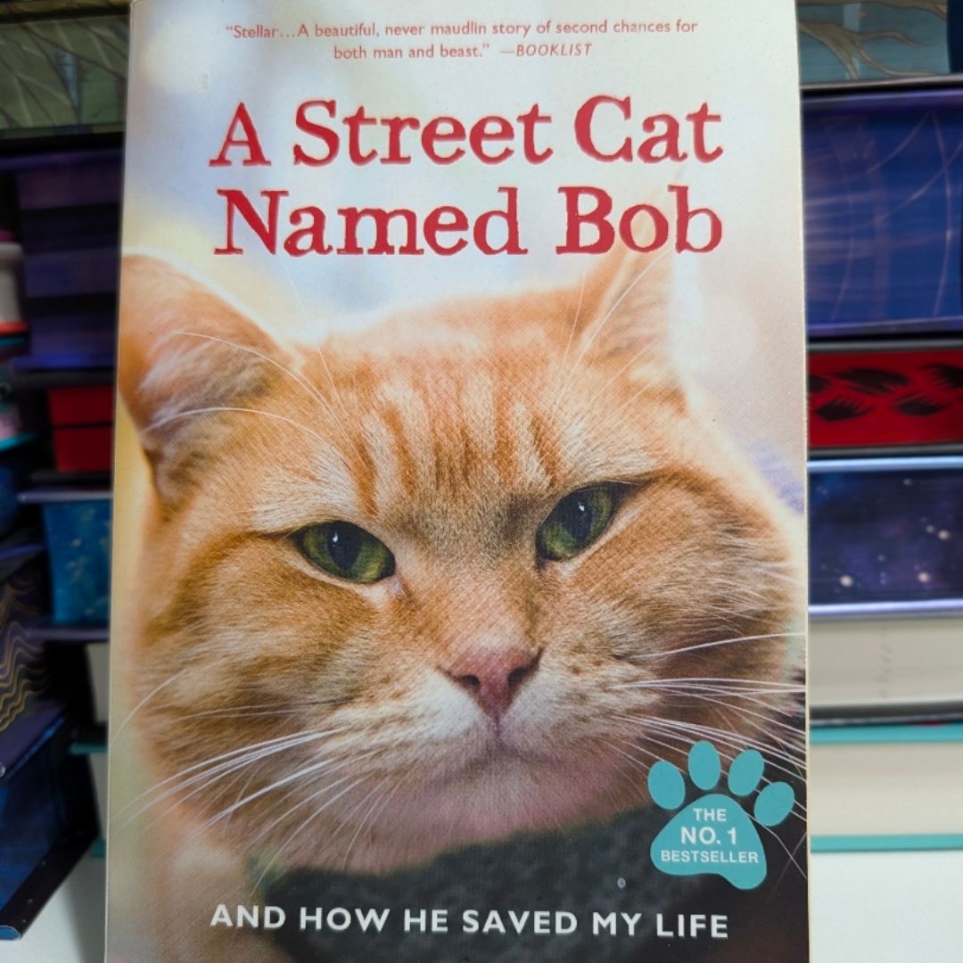 A Street Cat Named Bob
