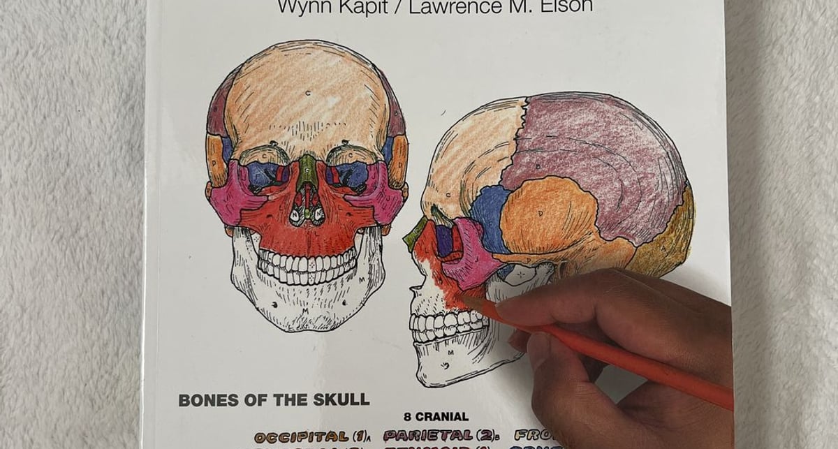 The Anatomy Coloring Book by Wynn Kapit; Lawrence Elson, Paperback