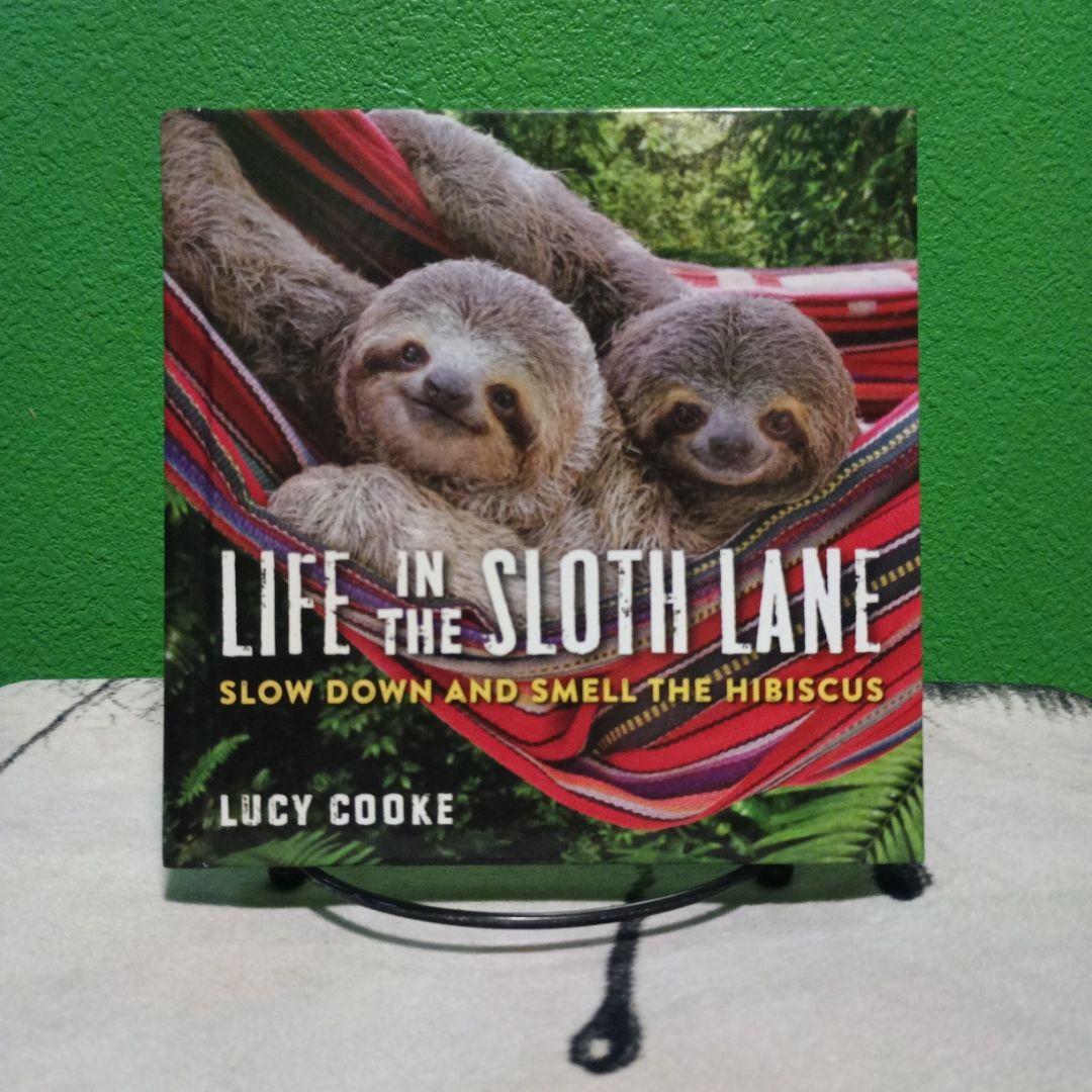 Life in the Sloth Lane
