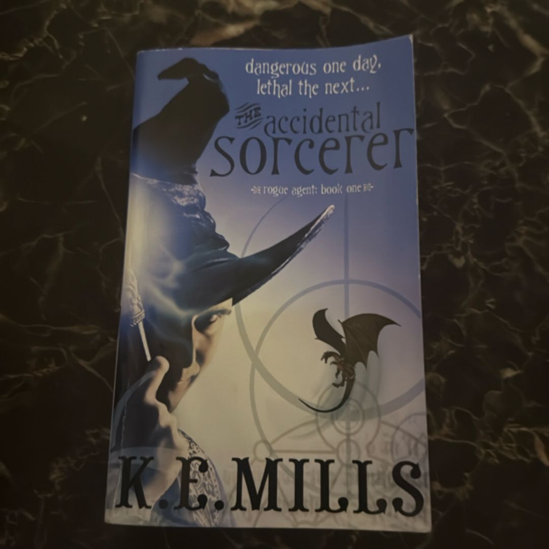 The Accidental Sorcerer