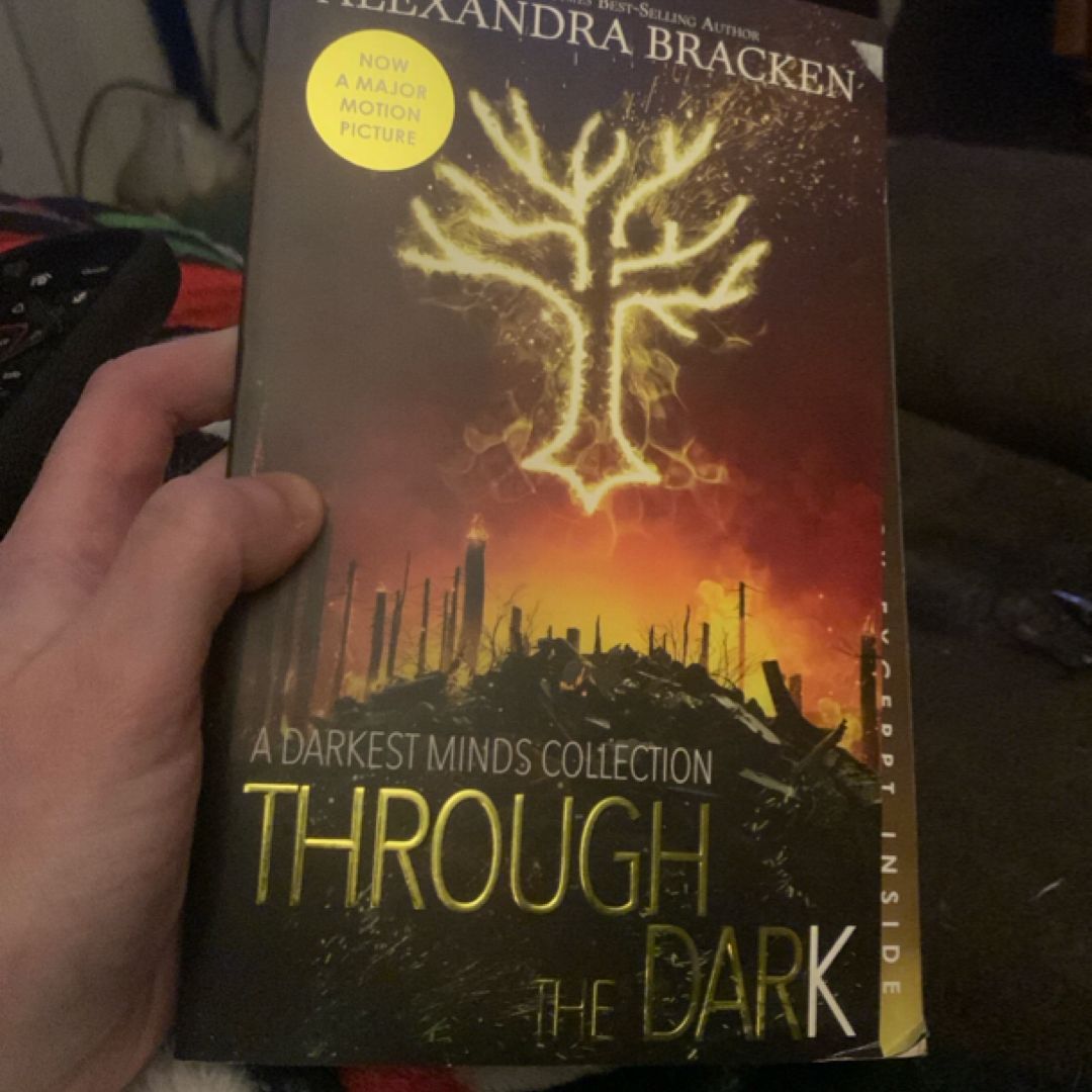 Through the Dark (Bonus Content) (a Darkest Minds Collection)