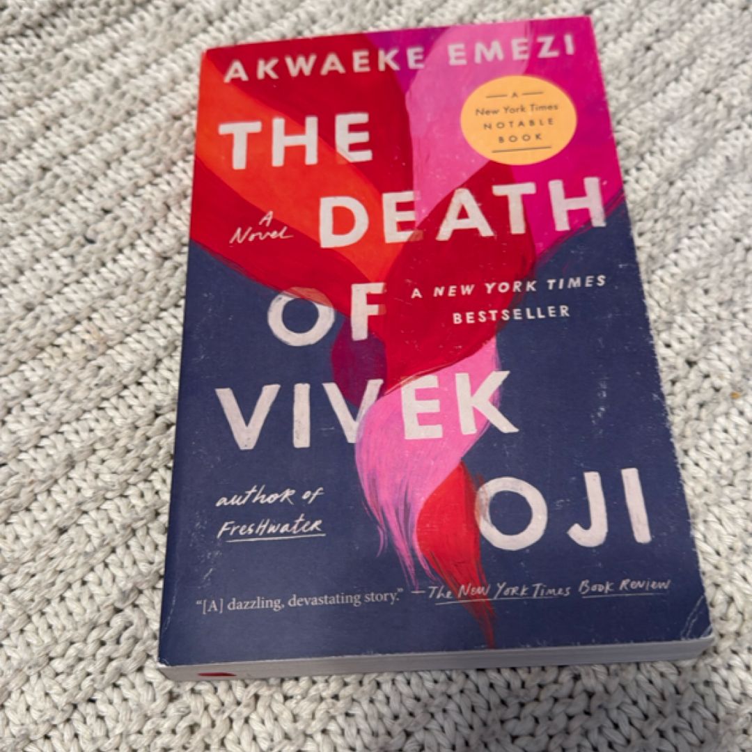 The Death of Vivek Oji