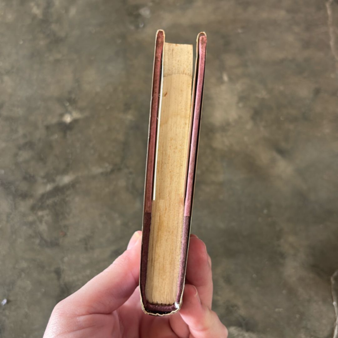Zlata's Diary