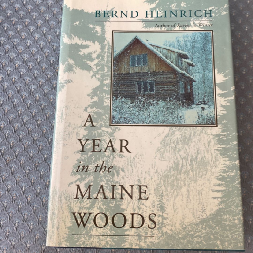A Year in the Maine Woods