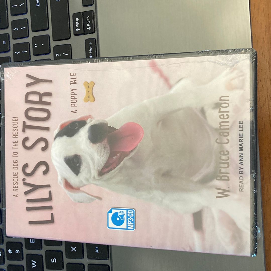Lily's Story