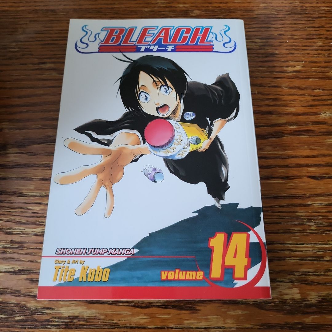 Bleach, Vol. 14