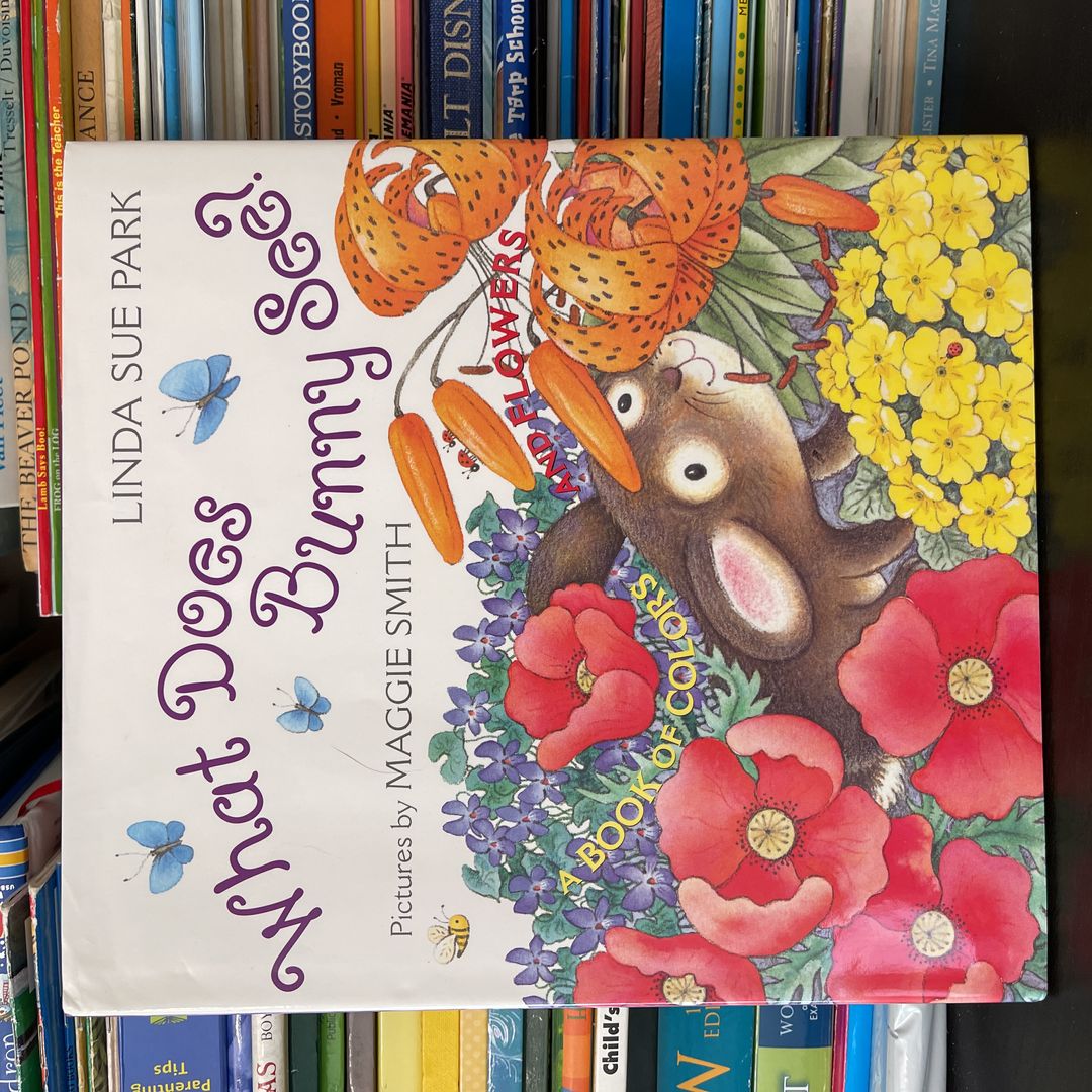 What Does Bunny See?