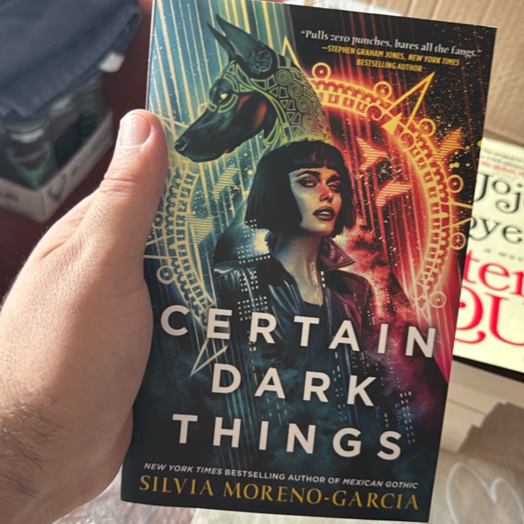 Certain Dark Things