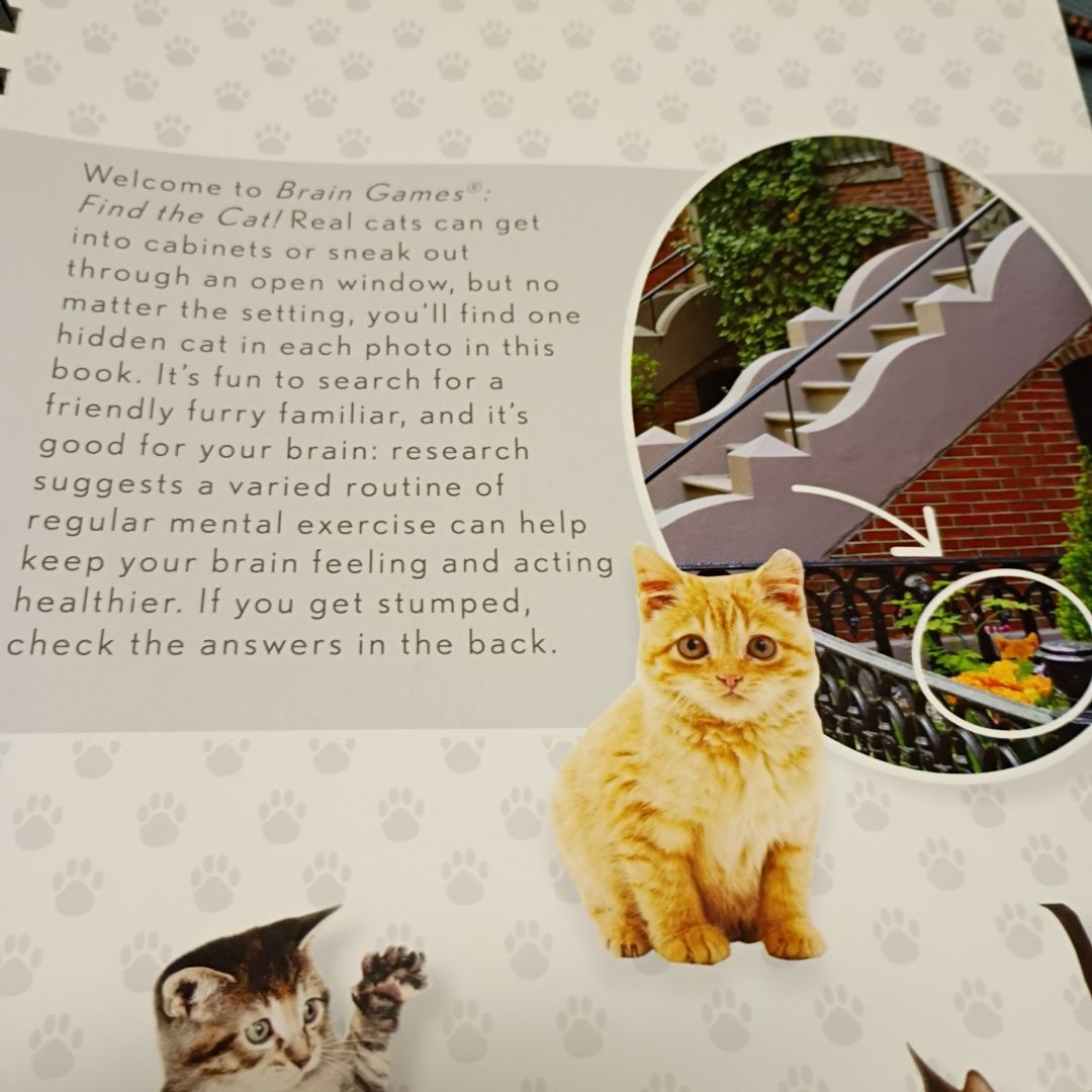 Brain Games - Find the Cat