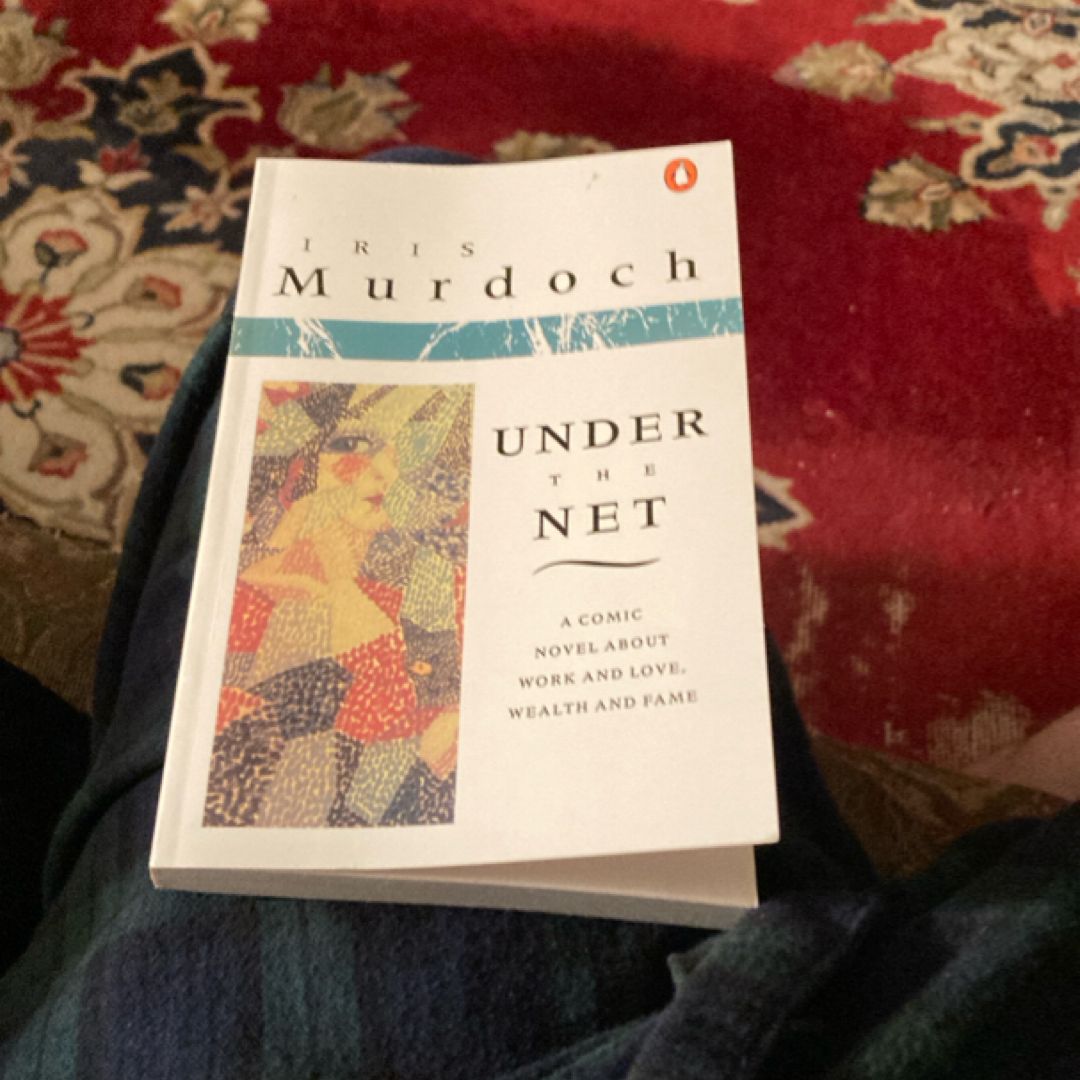 Under the Net