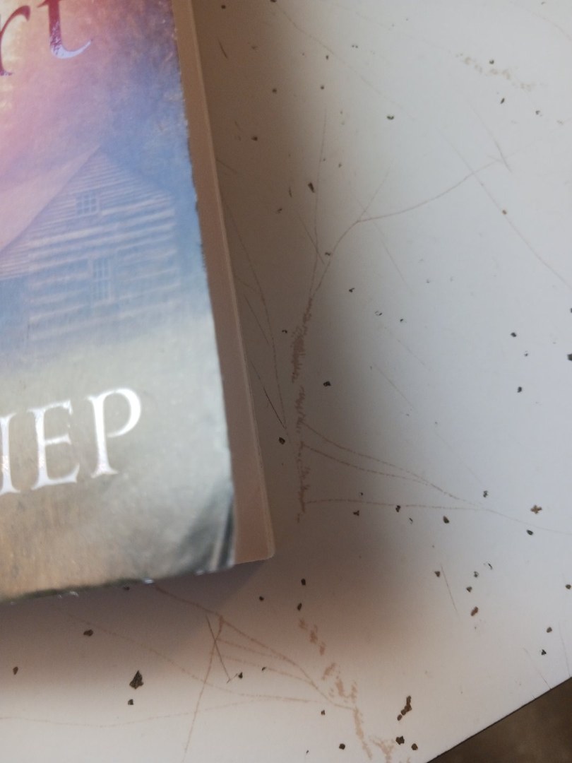 The Captive Heart