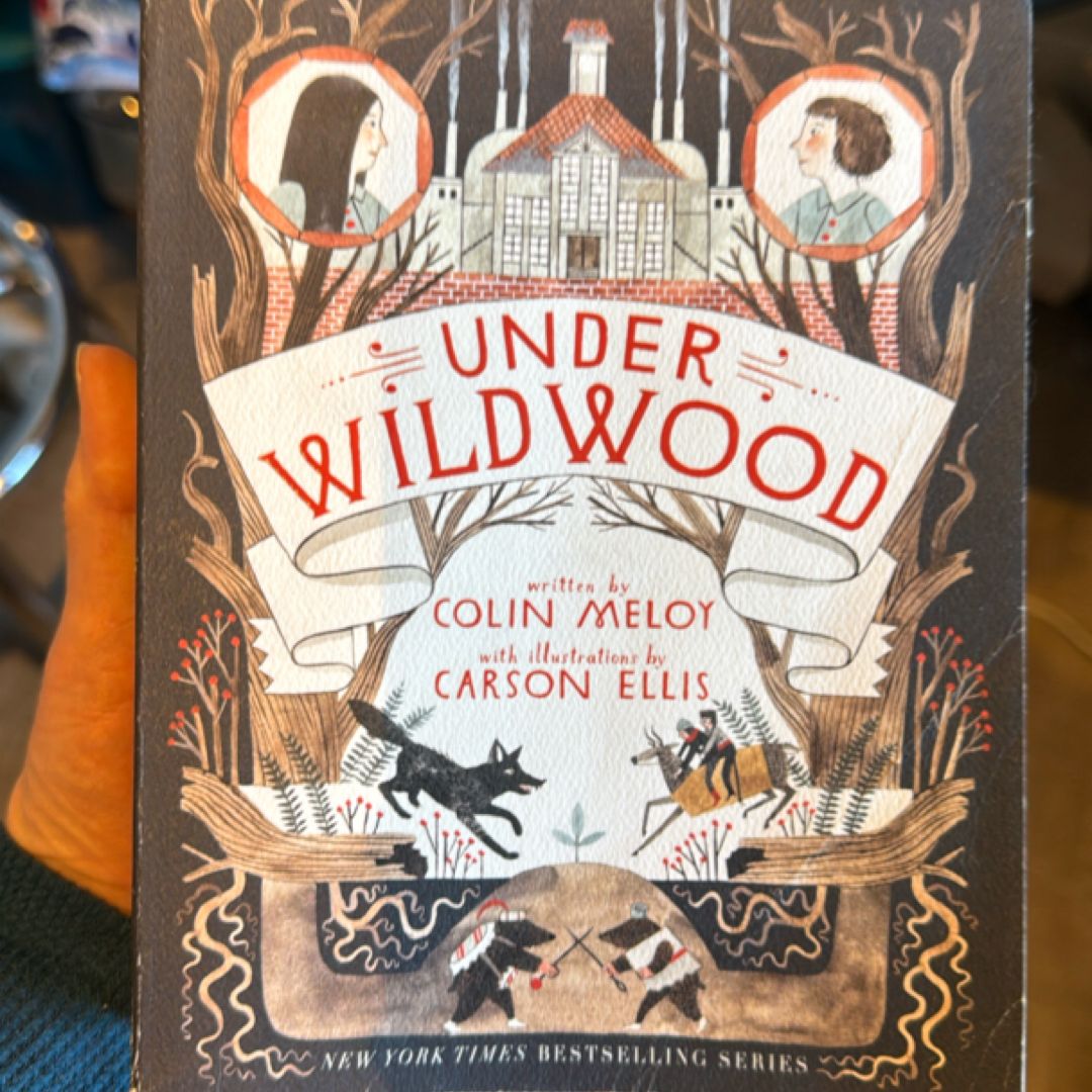 Under Wildwood