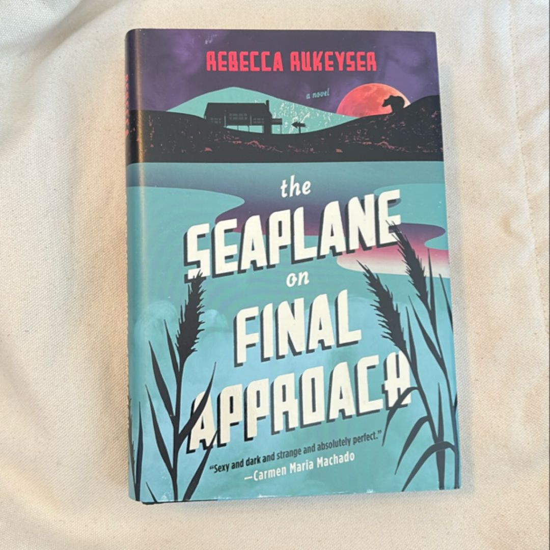 The Seaplane on Final Approach