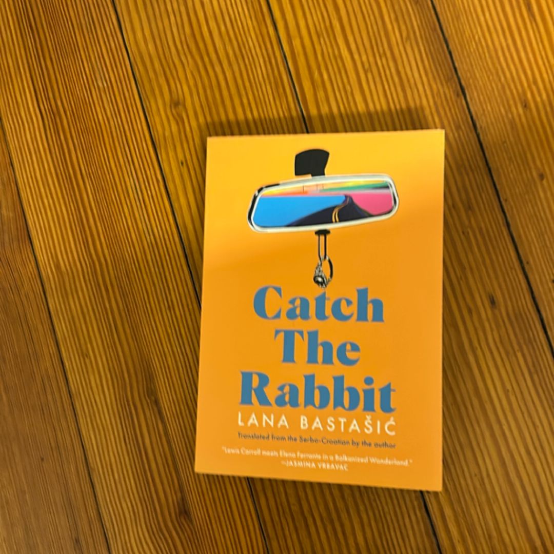 Catch the Rabbit