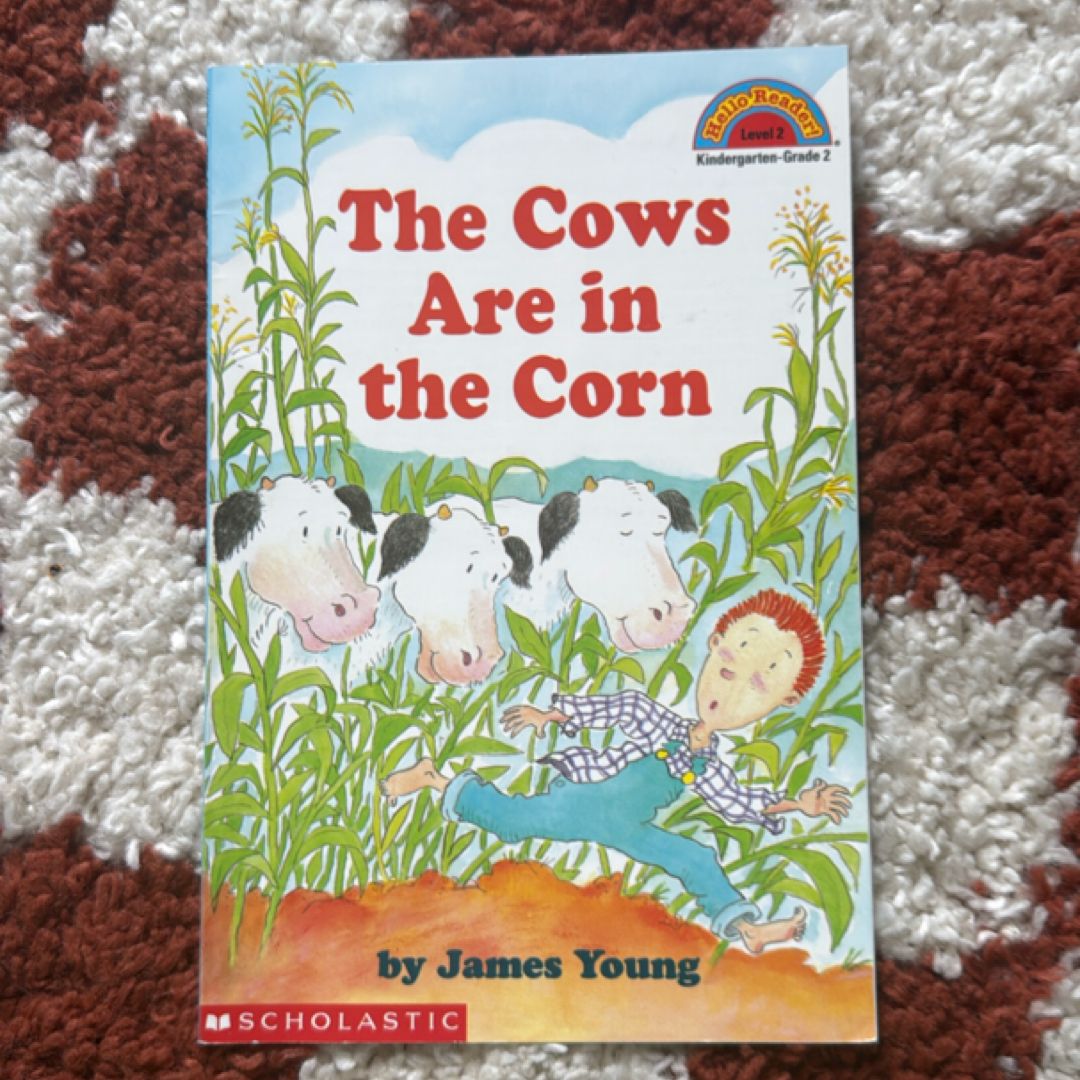 The Cows are in the Corn