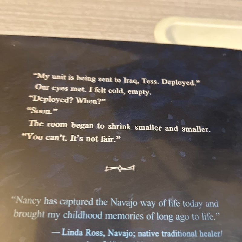 Soldier Sister, Fly Home