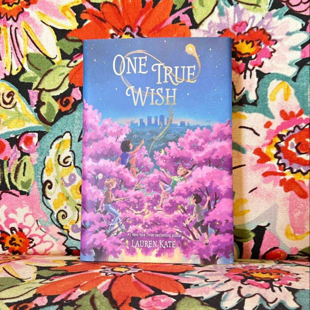 One True Wish