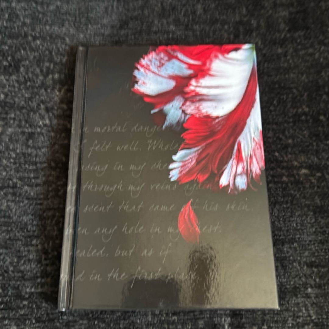 The Twilight Journals