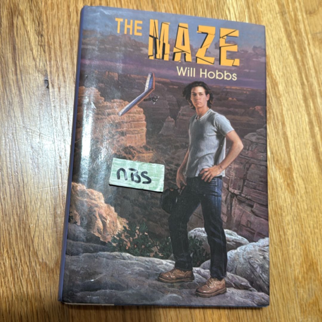 The Maze