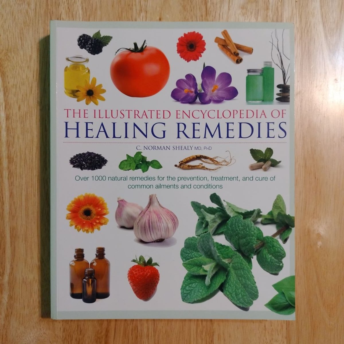 Illustrated Encyclopedia of Healing Remedies by C. Norman Shealy