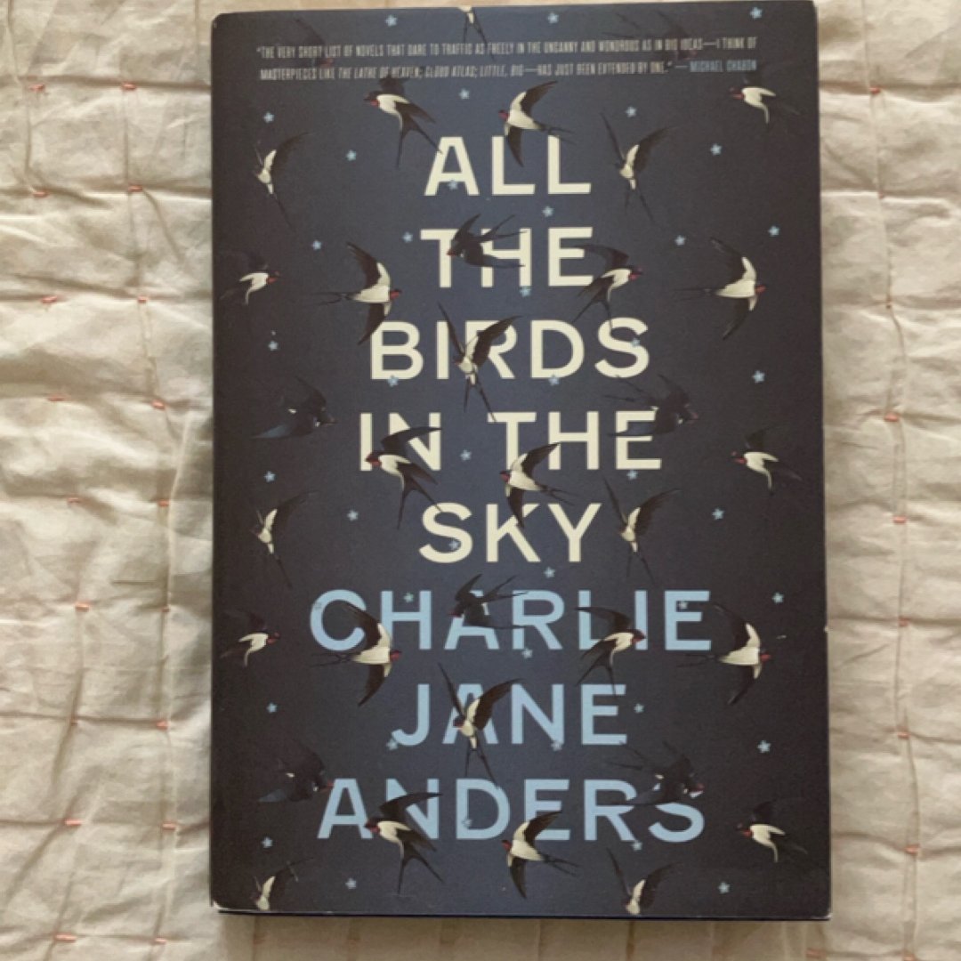 All the Birds in the Sky