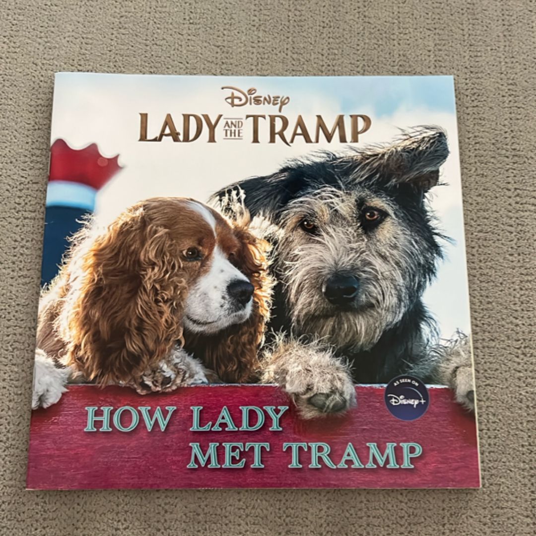 Lady and the Tramp: How Lady Met Tramp
