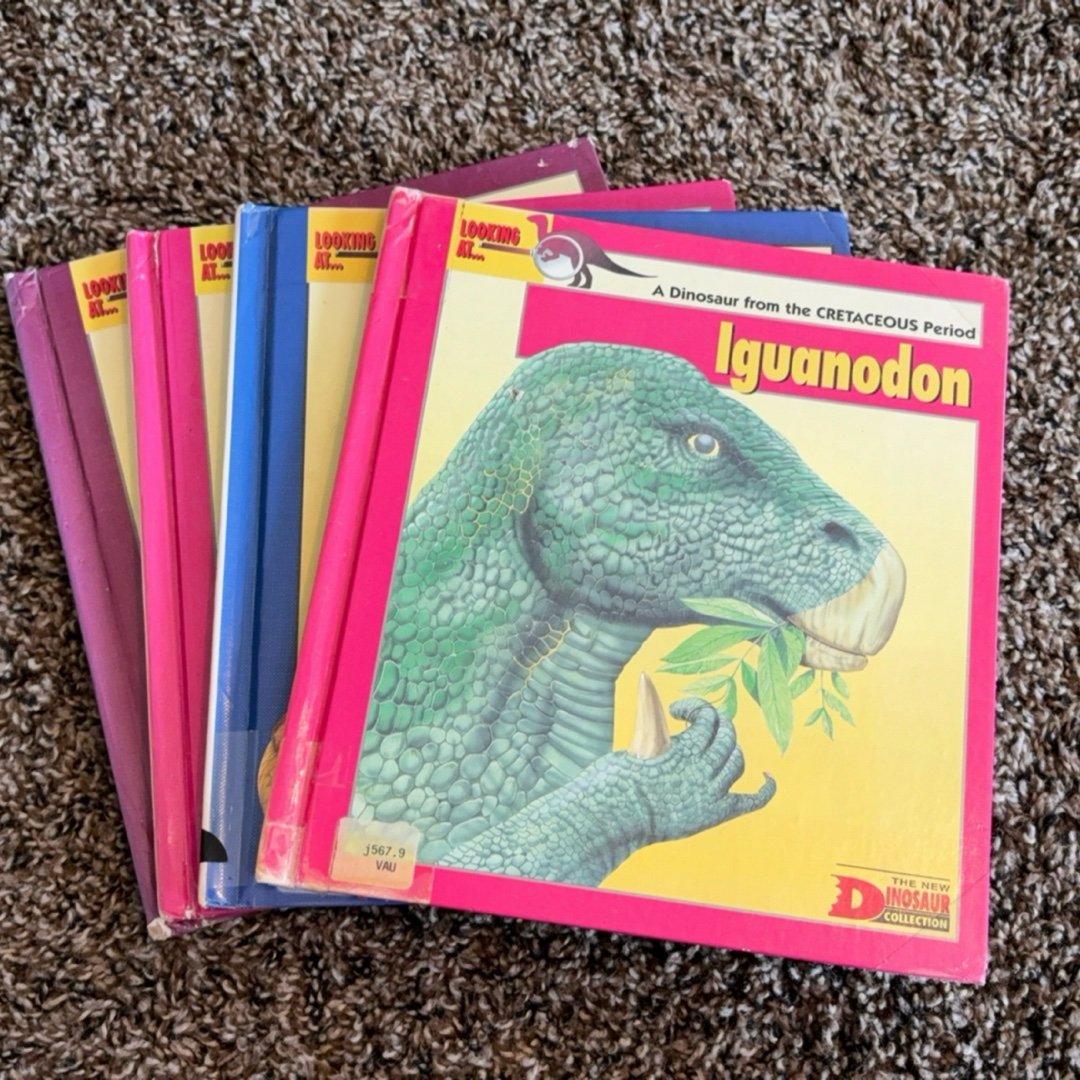 Looking At… Books