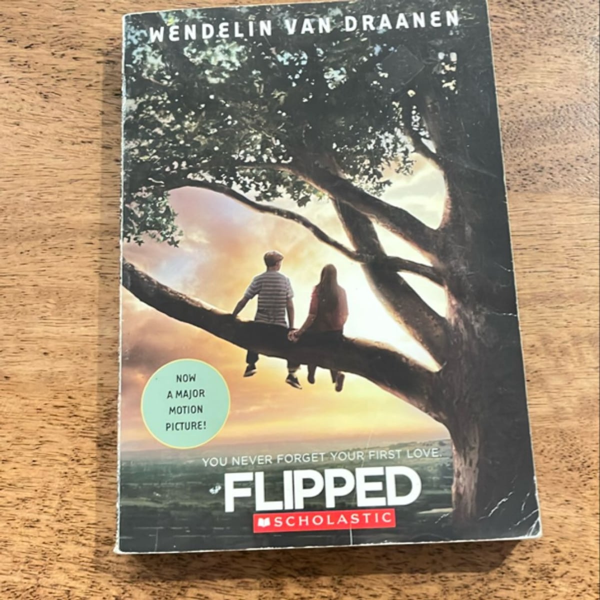 Flipped by Wendelin Van Draanen