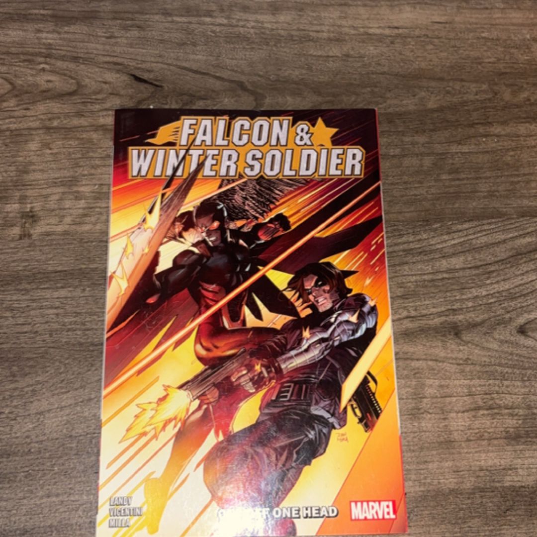 Falcon and Winter Soldier Vol. 1