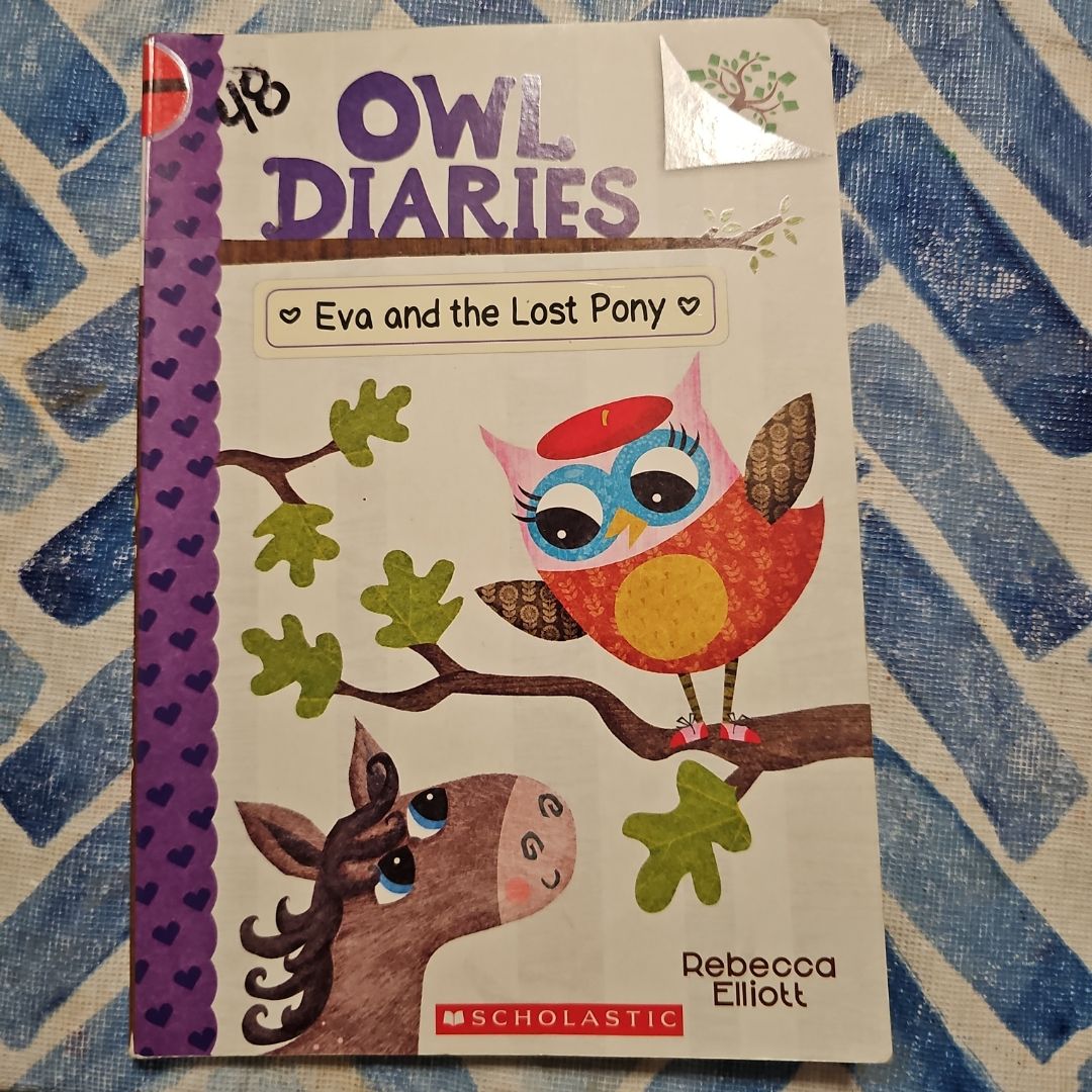 Eva and the Lost Pony