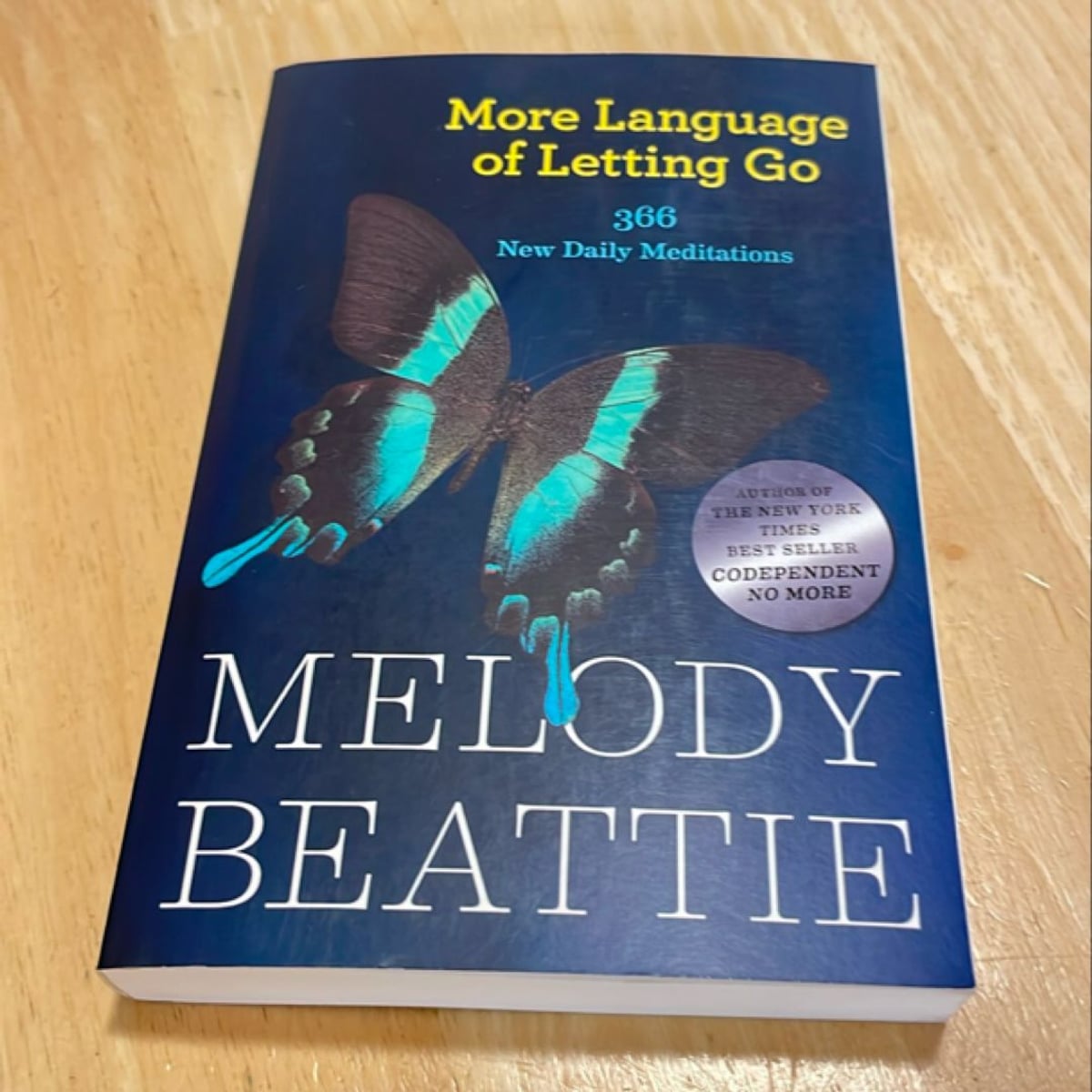 More Language of Letting Go by Melody Beattie