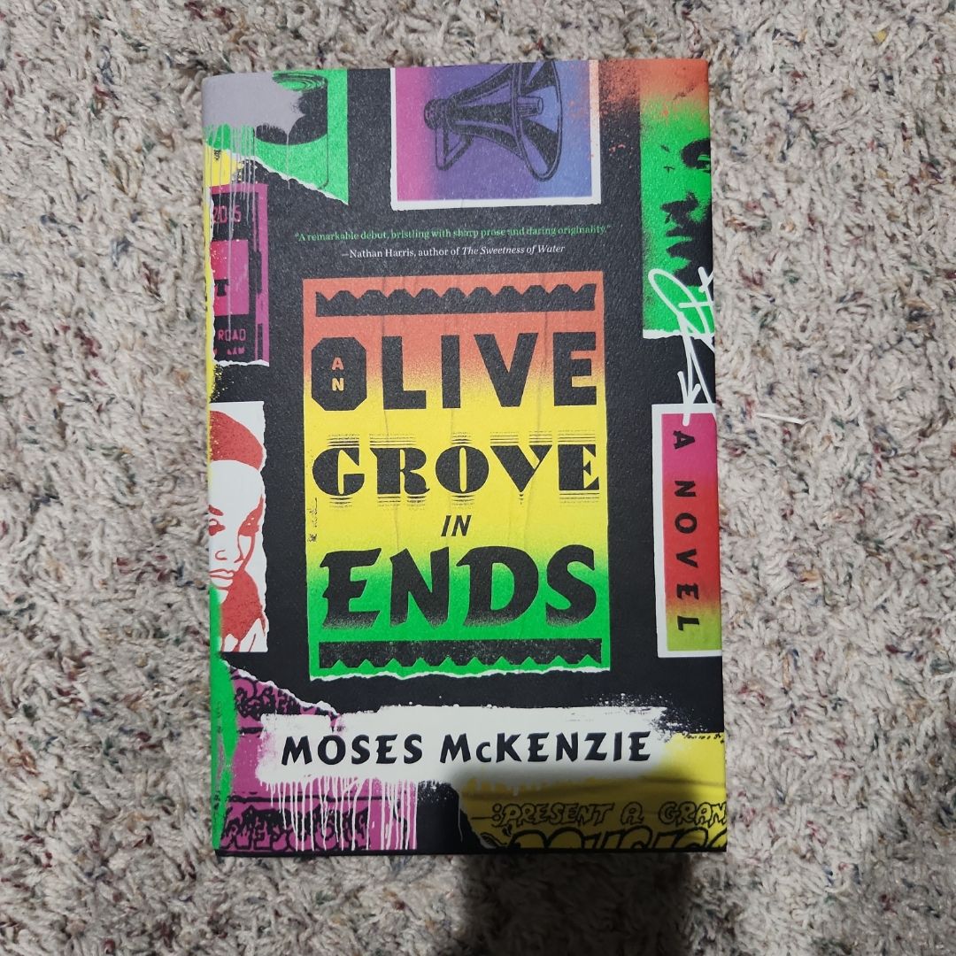 An Olive Grove in Ends