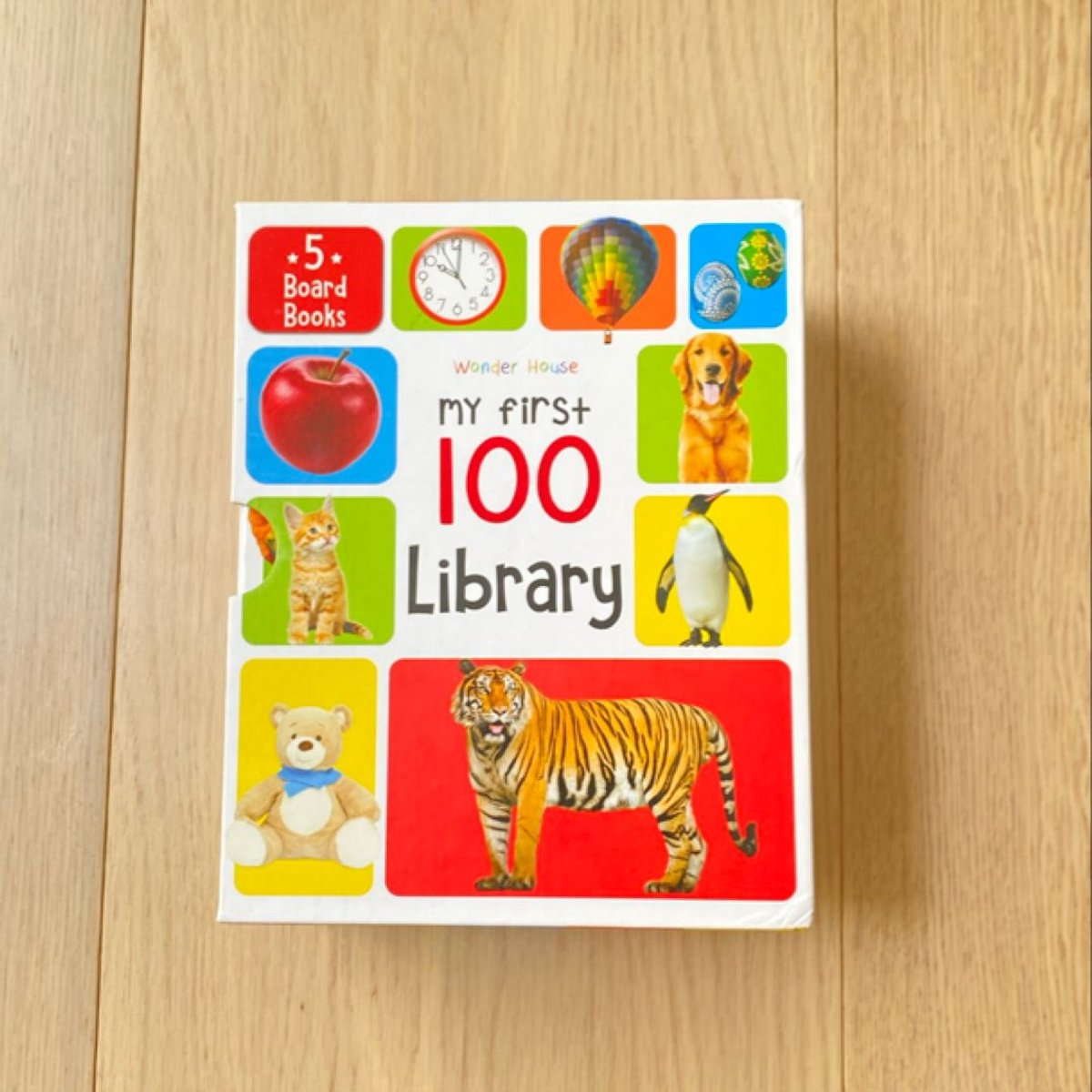 My First 100 Library by Wonder House Books