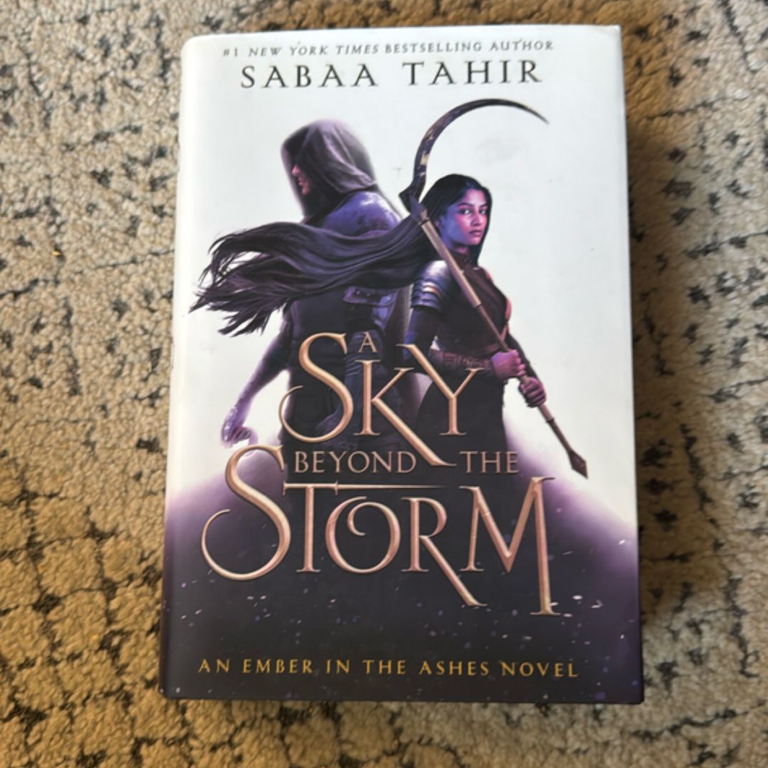 A Sky Beyond the Storm